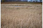 Property photo 44 - 80 Acres & Home - Property Offered in 4 Tracts from 2.3 to 30.0 Acres